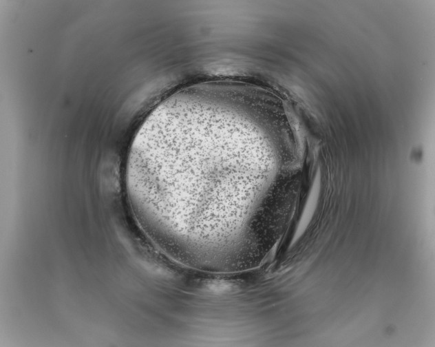 X0000090500547200707280003