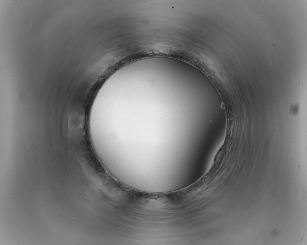 X0000090500548200707280003