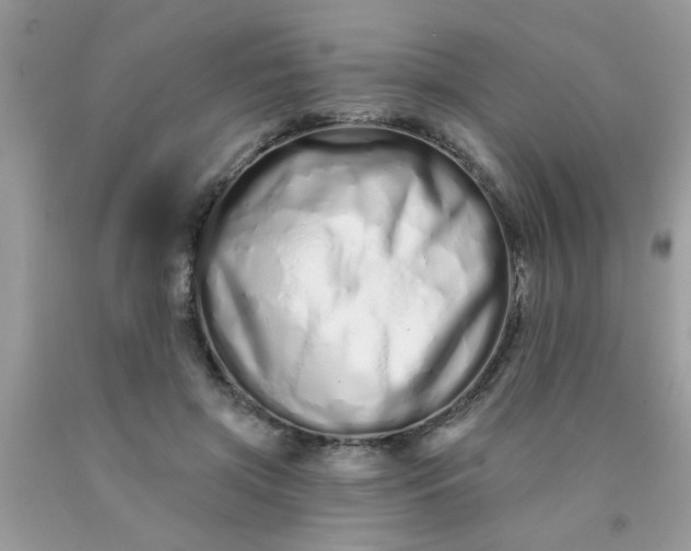 X0000090500549200707280003