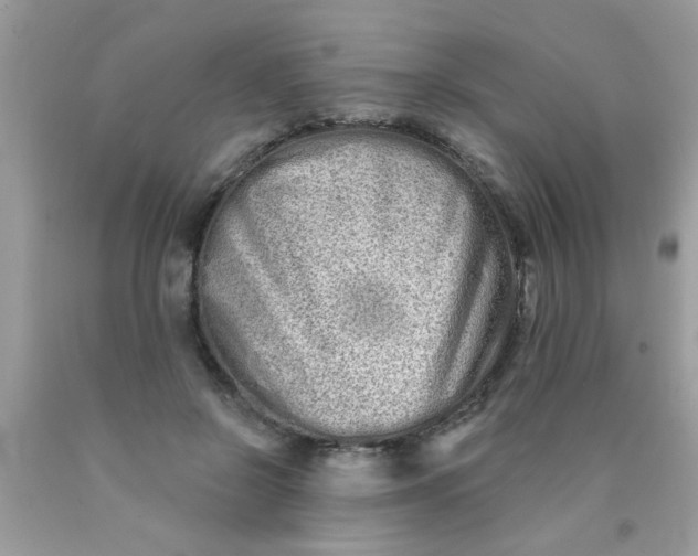 X0000090500550200707280003