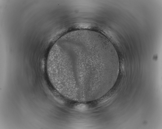 X0000090500551200707280003