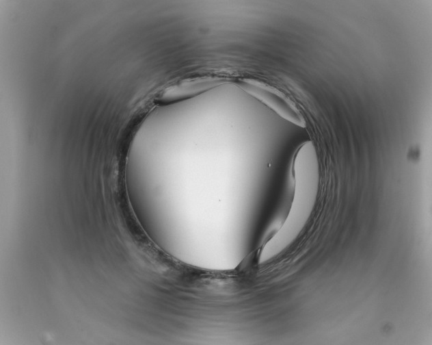 X0000090500552200707280003