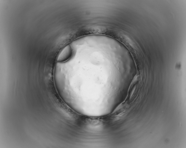 X0000090500553200707280003