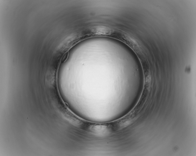 X0000090500554200707280003