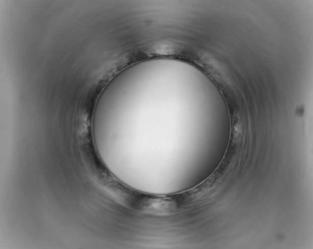 X0000090500555200707280003