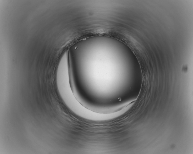 X0000090500556200707280003