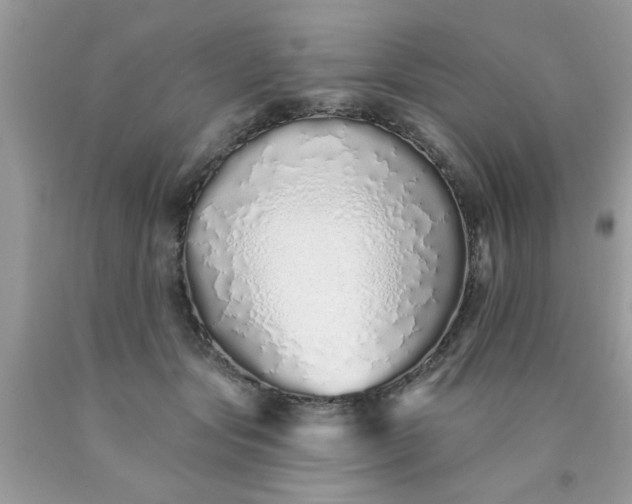 X0000090500557200707280003