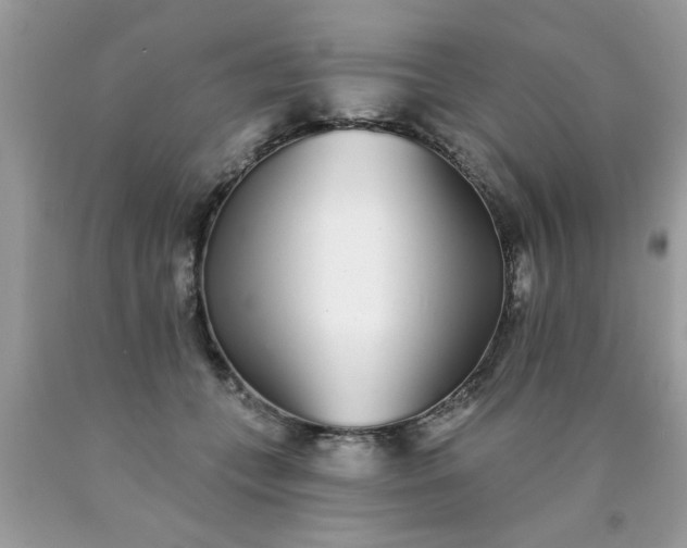 X0000090500559200707280004