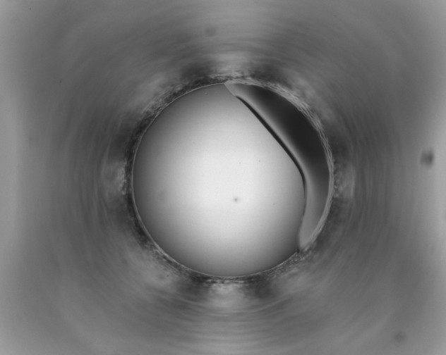 X0000090500560200707280004