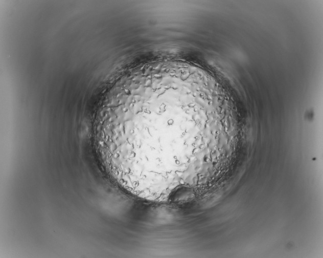 X0000090500561200707280004