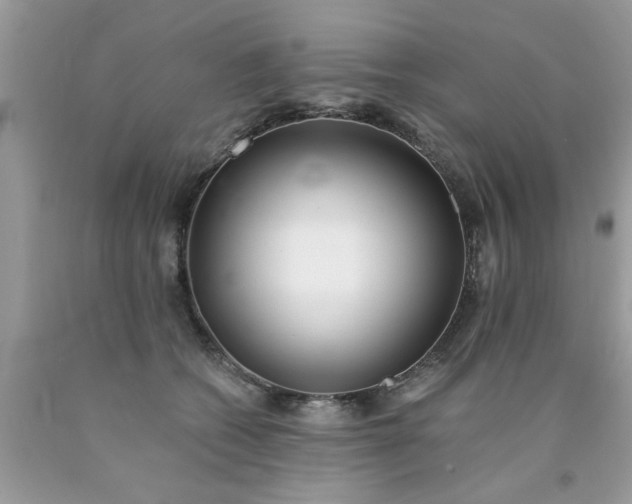 X0000090500562200707280004