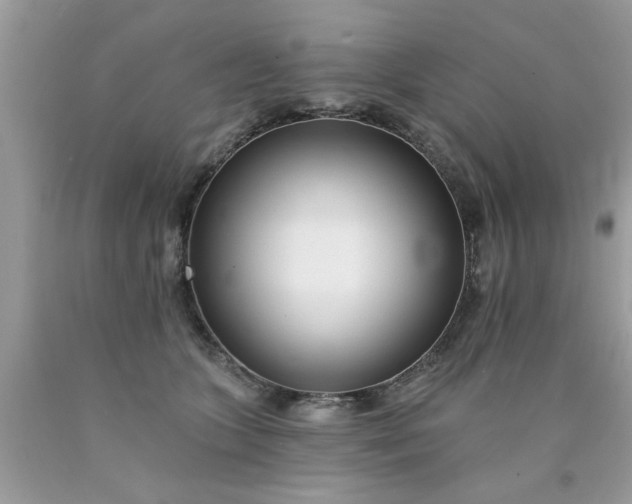 X0000090500563200707280004