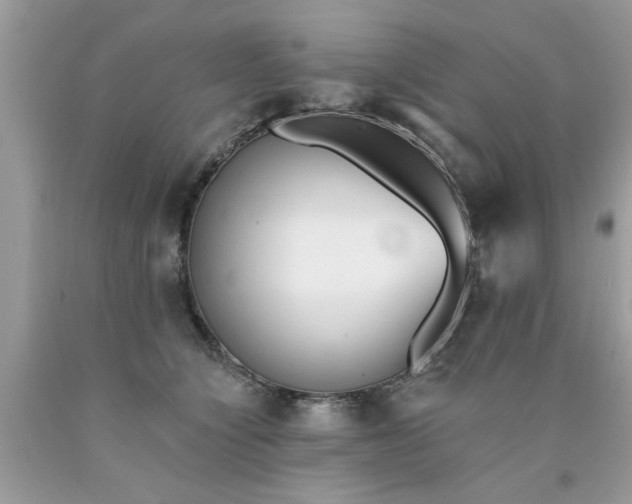 X0000090500564200707280004