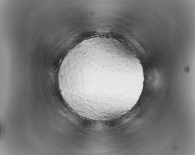 X0000090500565200707280004