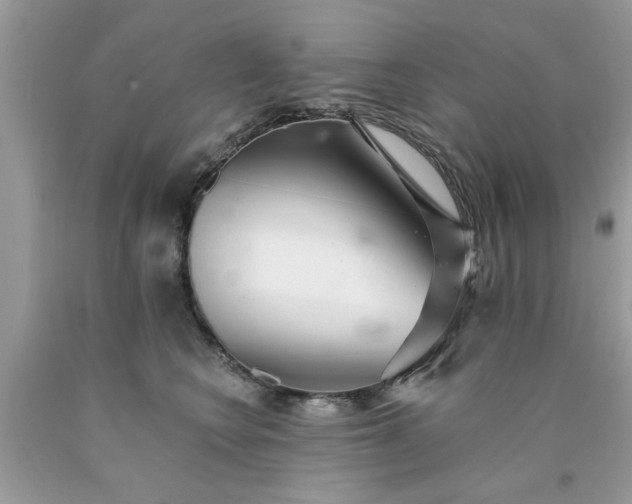 X0000090500566200707280004