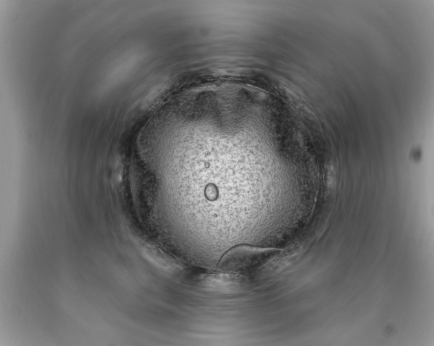 X0000090500567200707280004