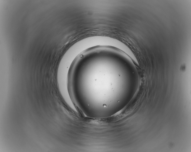 X0000090500568200707280004