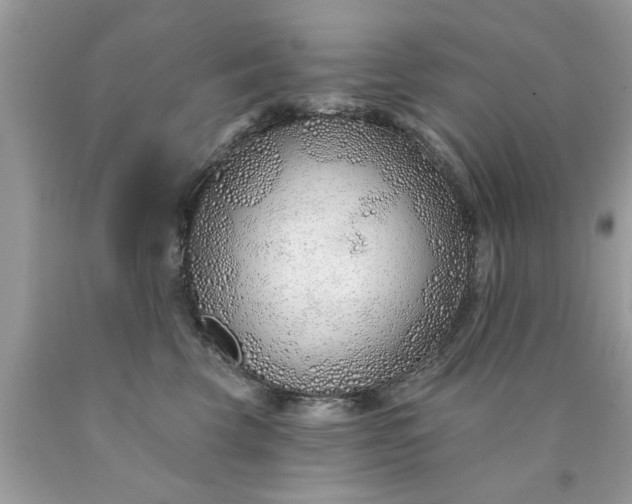 X0000090500569200707280004