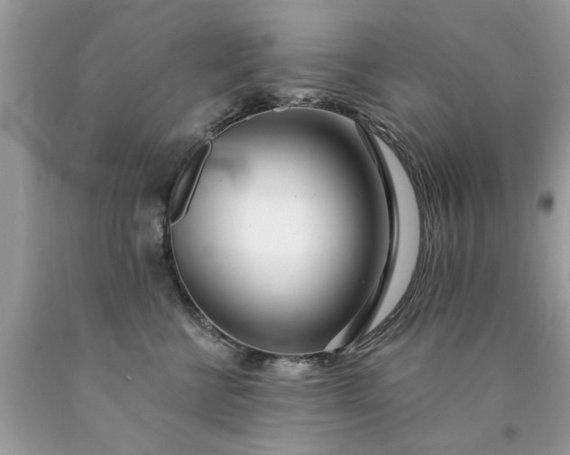 X0000090500570200707280004