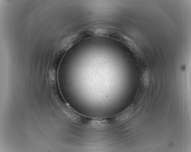 X0000090500571200707280004