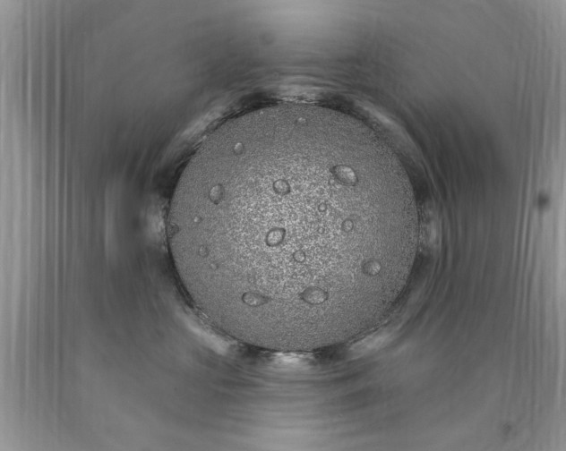 X0000090500573200707280004