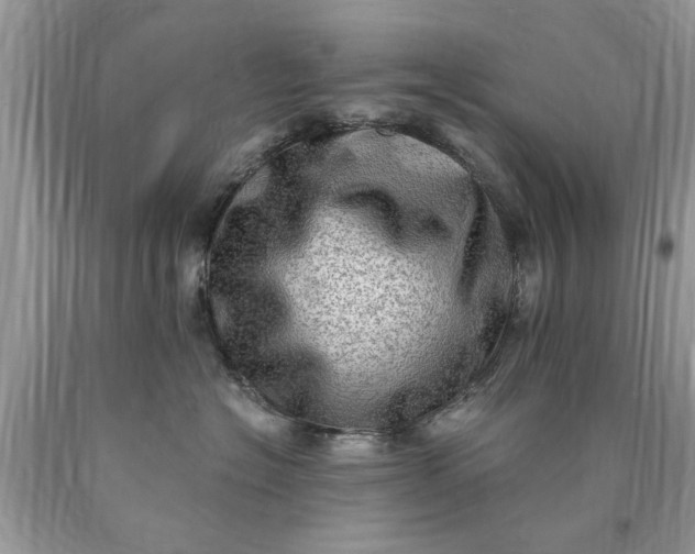 X0000090500574200707280004