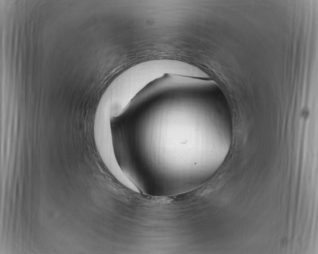 X0000090500576200707280004