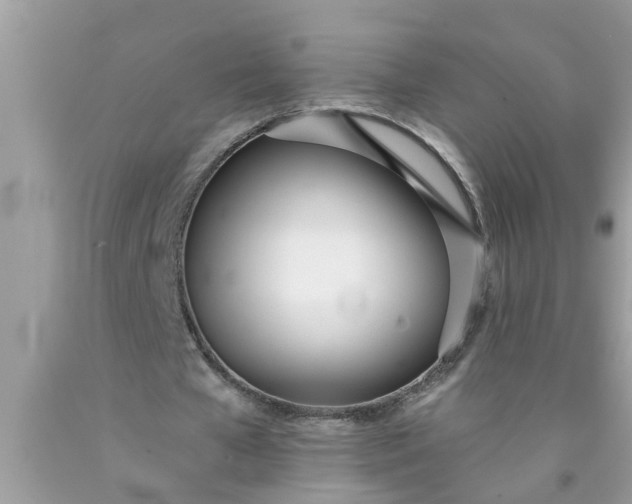 X0000090500577200707280003