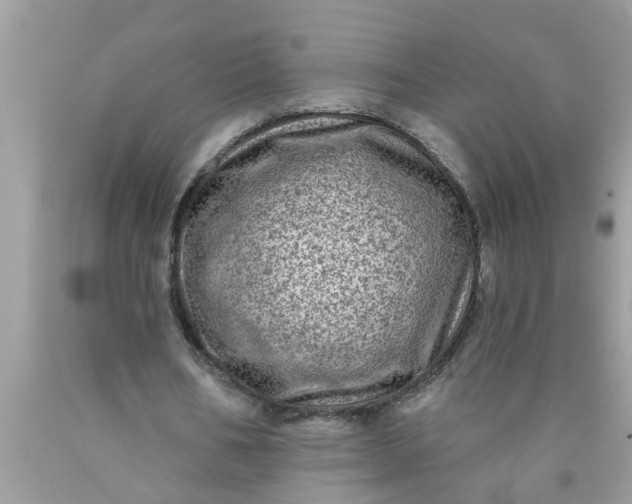 X0000090500578200707280003