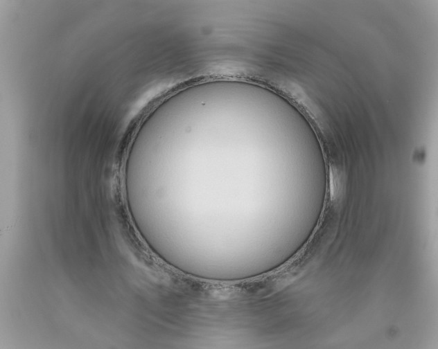 X0000090500579200707280003