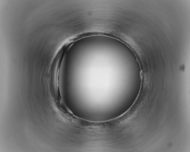 X0000090500580200707280003