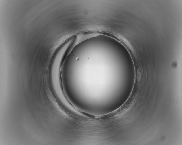 X0000090500581200707280003