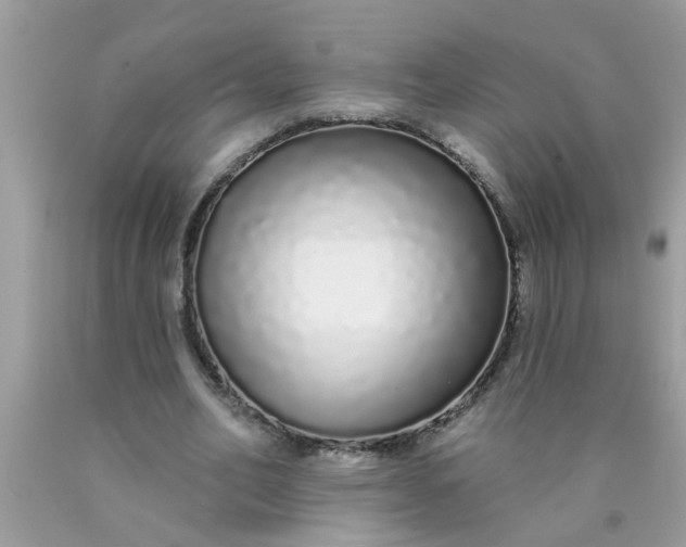 X0000090500582200707280003