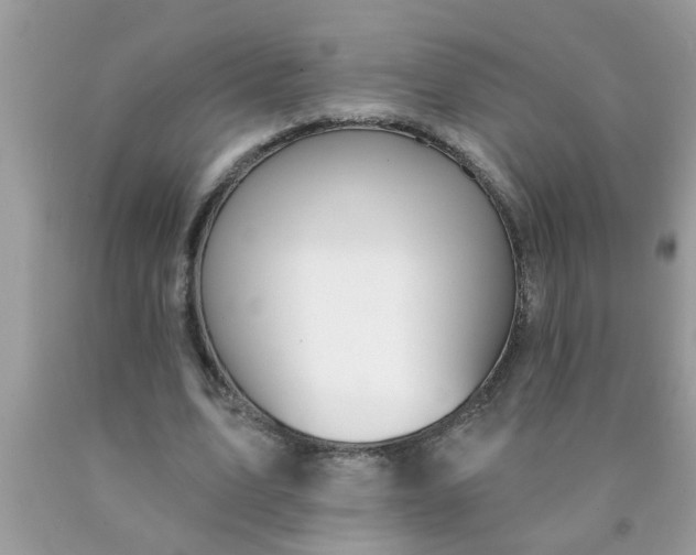 X0000090500583200707280003