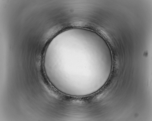 X0000090500586200707280003