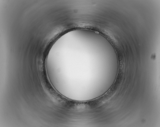 X0000090500587200707280003