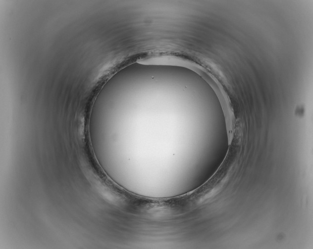 X0000090500589200707280003