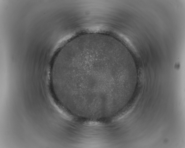 X0000090500590200707280003