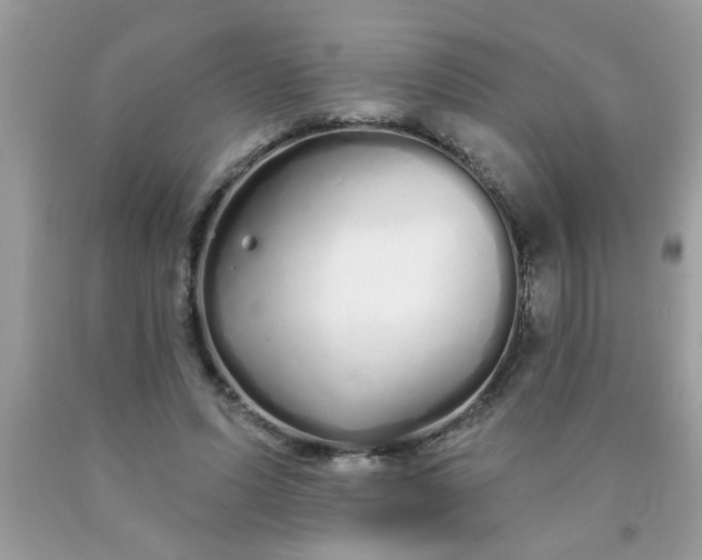 X0000090500591200707280003