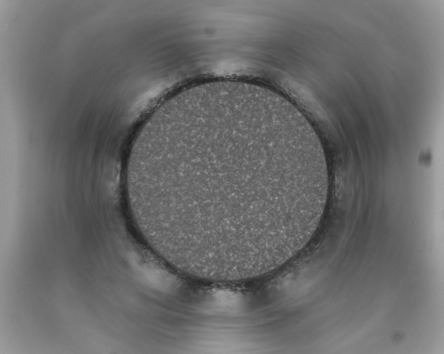 X0000090500592200707280003