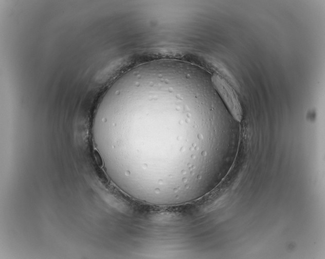 X0000090500593200707280003