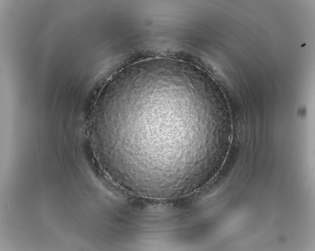 X0000090500594200707280003