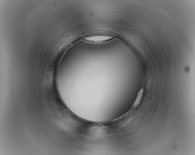 X0000090500595200707280003