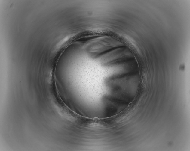 X0000090500596200707280003