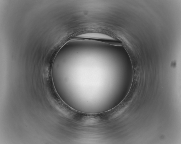 X0000090500597200707280003