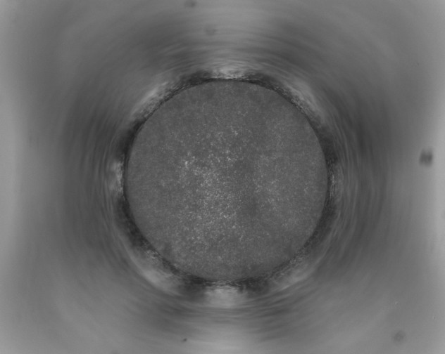 X0000090500598200707280003