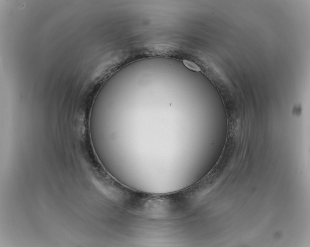 X0000090500599200707280003