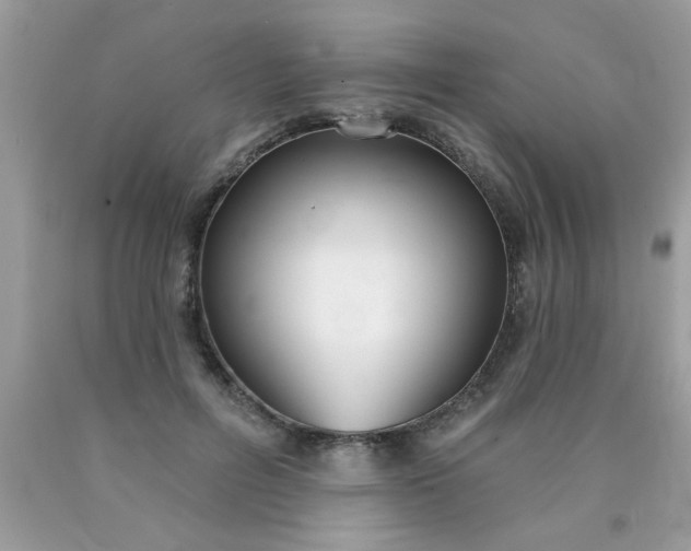 X0000090500600200707280003