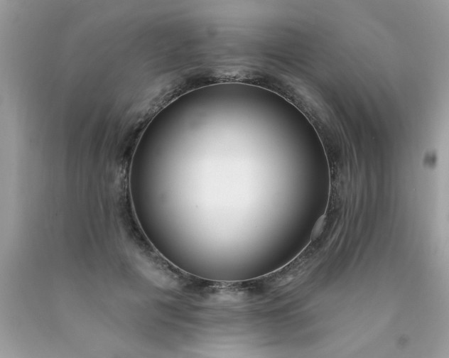 X0000090500601200707280003