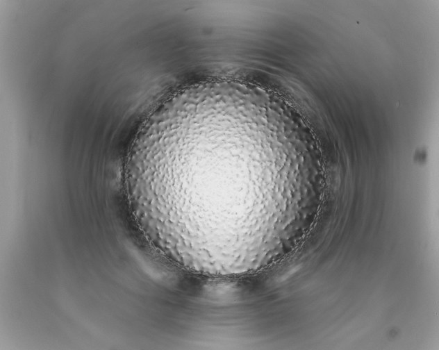 X0000090500602200707280003